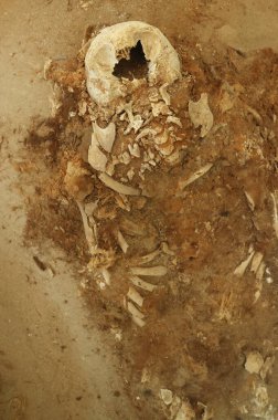 Arica, Şili 'deki Sitio Colon 10 mumyaları. Yüksek kalite fotoğraf