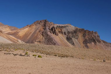 Suriplaza, Şili 'nin ay renkleri. Yüksek kalite fotoğraf