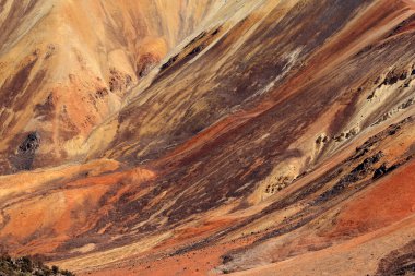 Suriplaza, Şili 'nin renklerinin yakın görüntüsü. Yüksek kalite fotoğraf