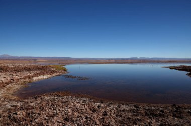 Şili 'nin Atakama Çölü' nde Tebinquiche Lagünü. Yüksek kalite fotoğraf