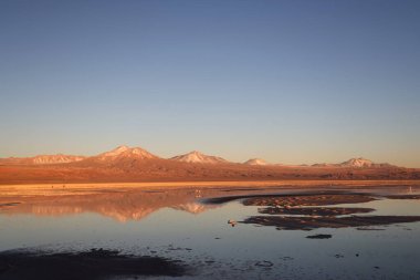 Şili, San Pedro de Atacama 'da gün batımında Chaxa Gölü. Yüksek kalite fotoğraf