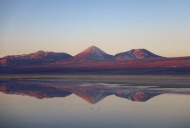 Şili, San Pedro de Atacama 'da gün batımında Chaxa Gölü. Yüksek kalite fotoğraf