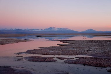 Şili, San Pedro de Atacama 'da gün batımında Chaxa Gölü. Yüksek kalite fotoğraf