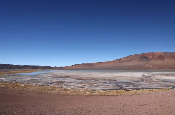 Pacana caldera Viewpoint, Atacama, Şili. Yüksek kalite fotoğraf