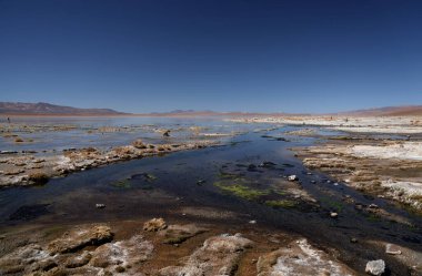 Bolivya 'daki Salada gölünün manzarası. Yüksek kalite fotoğraf