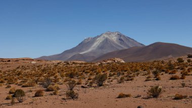 Bolivya tarafından Ollague Volkanı 'nın görüntüsü. Yüksek kalite fotoğraf