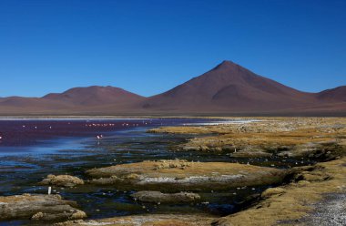 Laguna Colorada, Bolivya manzarası. Yüksek kalite fotoğraf