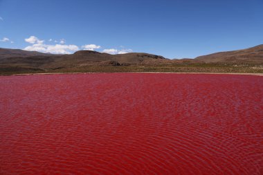 Kuzey Şili 'deki Kızıl Göl. Yüksek kalite fotoğraf