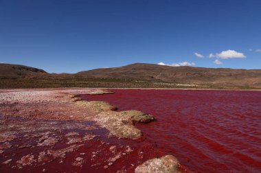 Kuzey Şili 'deki Kızıl Göl. Yüksek kalite fotoğraf