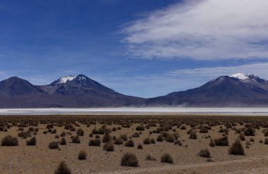 Şili 'deki Salar de Surire Doğal Anıtı. Yüksek kalite fotoğraf