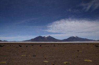 Şili 'deki Salar de Surire Doğal Anıtı. Yüksek kalite fotoğraf