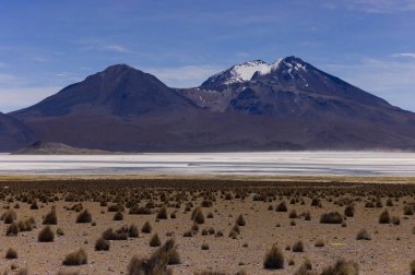 Şili 'deki Salar de Surire Doğal Anıtı. Yüksek kalite fotoğraf