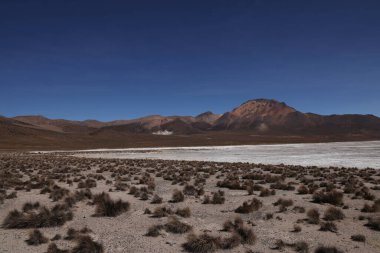 Şili 'deki Salar de Surire Doğal Anıtı. Yüksek kalite fotoğraf