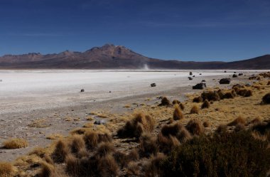 Şili 'deki Salar de Surire Doğal Anıtı. Yüksek kalite fotoğraf