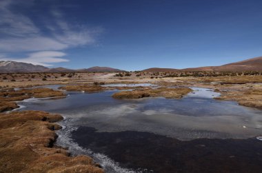 Volcan Isluga Ulusal Parkı, Şili 'deki Sitani Nehri. Yüksek kalite fotoğraf