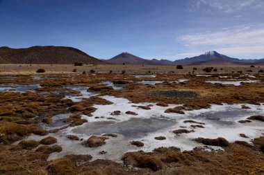 Volcan Isluga Ulusal Parkı, Şili 'deki Sitani Nehri. Yüksek kalite fotoğraf