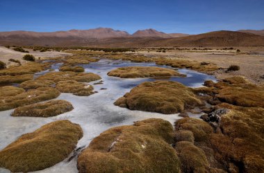 Volcan Isluga Ulusal Parkı, Şili 'deki Sitani Nehri. Yüksek kalite fotoğraf