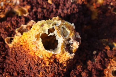 Danakil Buhranı, Etiyopya 'daki Dallol volkanının olağanüstü renkleri. Yüksek kalite fotoğraf