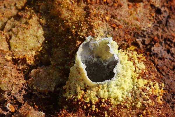 Etiyopya 'daki Dallol Volkanı' nın mineral dolu buharından üretilen tuzun renkleri. Yüksek kalite fotoğraf