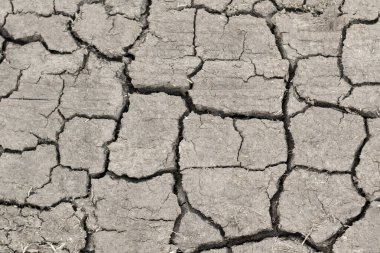Çatlamış toprak dokusu ve arka planının üst görünümü.