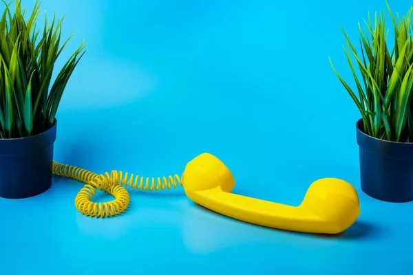 Sarı retro telefon alıcısı ve mavi arka planda ev bitkisi.
