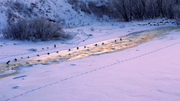 Zimowy krajobraz z zamarzniętą linią brzegową rzeki, złotą smugą wody i linią śladów stóp na śniegu. — Zdjęcie stockowe