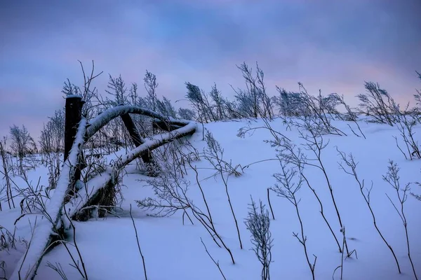 Paisaje tranquilo de invierno matutino con un viejo seto de madera en una ladera contra un cielo nublado retroiluminado por el sol naciente. —  Fotos de Stock