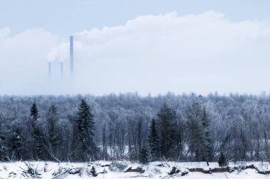 Puslu ufukta yükselen bitkinin bacalarıyla kış ormanının manzarası. Manzara gri tonlarda. Çevre kirliliği