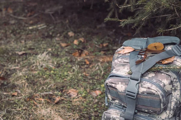 Turistický Batoh Khaki Barvě Kompas Pozadí Jedlových Větví Divoký Život — Stock fotografie