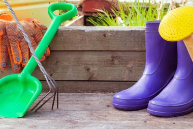 Su kovası, kürek, bahçe eldivenleri ve botlar bahçe yatağının yanındaki tahta tahtalarda. Sebze yetiştirme konsepti
