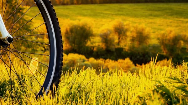 Roda de bicicleta close-up em um fundo de grama verde ao pôr do sol. — Fotografia de Stock