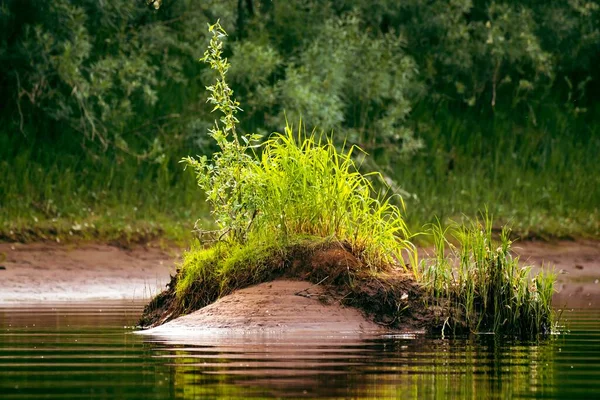 Eine Wunderschöne Insel Mit Grünem Gras Auf Dem Fluss Naturlandschaft — Stockfoto