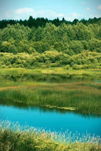 Blick auf den Fluss mit Schilf in der Mitte und Wald im Hintergrund. Schöne Sommer natürlichen Hintergrund. — Stockfoto