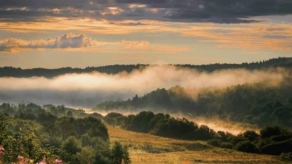 Blick Vom Hügel Auf Das Neblige Flusstal Gelben Licht Der — Stockfoto