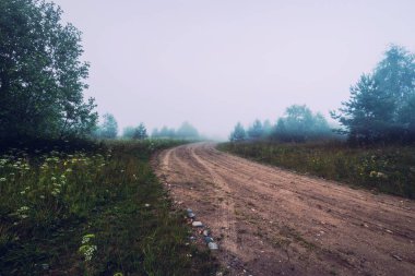 Çayırdaki toprak yolda sisin içindeki ağaçların arasında. Seyahat kavramı.