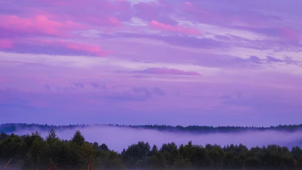 Delicate Roze Zonsondergang Boven Het Bos Bedekt Met Mist Schoonheid — Stockfoto