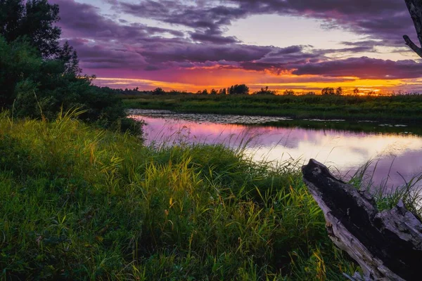 Piękny Wieczorny Zachód Słońca Odbiciem Nieba Powierzchni Jeziora Gęstą Zieloną — Zdjęcie stockowe