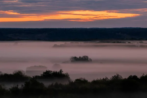 Nebel Kriecht Bei Sonnenaufgang Über Die Wiese Morgenlandschaft — Stockfoto