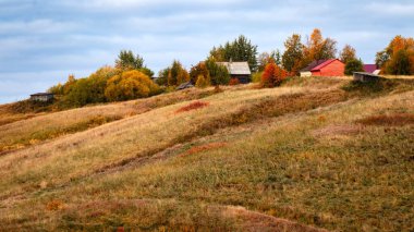 Kırsal evlerin çatıları bir tepede yaprakların sonbahar renginde olduğu ağaçlar arasında. Güzel sonbahar manzarası