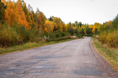 Sonbahar ağaçlarıyla dolu eski bir asfalt yol. Seyahat kavramı