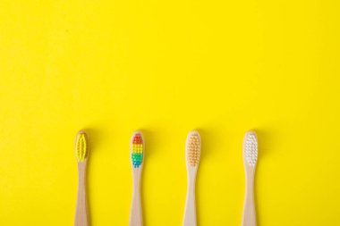 Bambu ahşap diş fırçaları, sıfır atık
