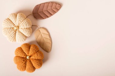 Balkabağı yapraklı sonbahar afişi, gri arka planda örülmüş süveter. Uzayı metin için kopyala. Samimi bir düşüş. örgü kabakları ve yaprakları olan metin için bej renkli rahat arkaplan