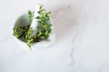 Beyaz arka planda havanda çimenler. Taze yeşil fesleğen yaprakları beyaz arka planda gri taştan havan topu şeklinde. Pesto sosu pişirme, manzarayı kapat..