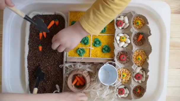 A gyerekkezek érzékszervi dobozt játszanak. tavaszi játék touch box — Stock videók