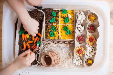 Çocuk gelişimi için sensör kutusunu çal. Oyun kutusu sebze bahçesi. Montessori materyali bebek
