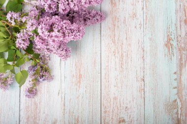 Eski ahşap turkuaz arka planda leylak çiçekleri. Boşluğu kopyala.