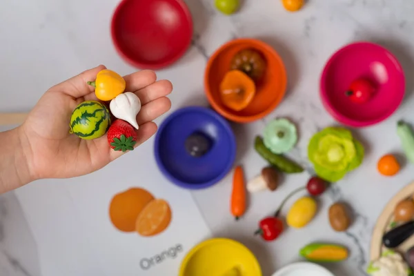 polymer vegetables. sorting by color. studying vegetables. Girl child plays with toy vegetables and buckets of different colors.