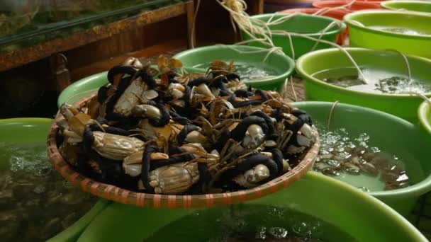 Frutos do mar para venda em um mercado — Vídeo de Stock