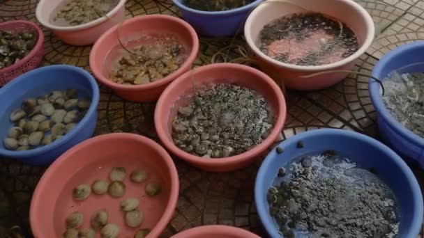 Pescados y mariscos en venta en un mercado — Vídeo de stock