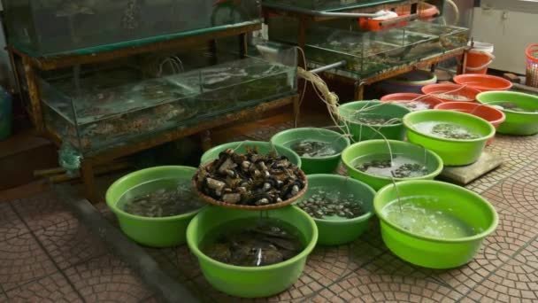Meeresfrüchte zum Verkauf auf einem Marktplatz — Stockvideo